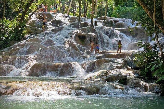 Private Dunn’s River Falls Experience + Blue Hole Secret falls - Key points to know before booking