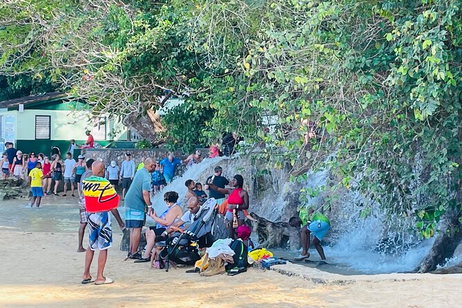Private Dunn’s River Falls Experience + Blue Hole Secret falls - Blue Hole and Island Gully Falls