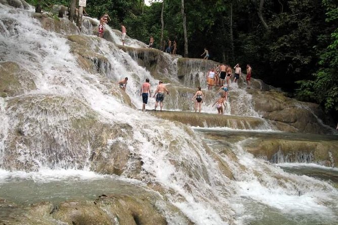 [PRIVATE] Dunn's River Falls with Entrance Fees - Why Dunn’s River Falls is worth the trip