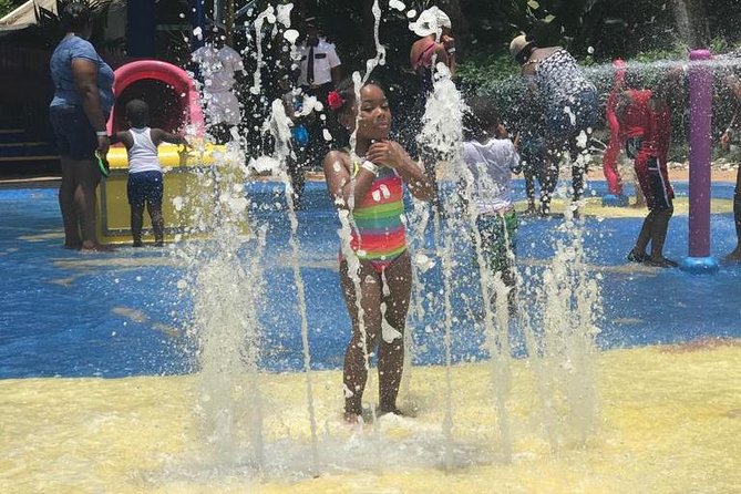 [PRIVATE] Dunn's River Falls with Entrance Fees - Lunch and shopping in Ocho Rios