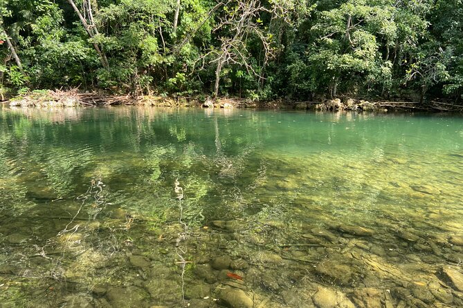 Private Dunns River Fall, Blue hole in Ocho Rios from Montego Bay - Dunns River Falls: beach first, waterfall next