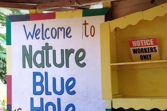 Private Dunns River Falls and Blue Hole from Montego Bay Tour - What the $100 price really means