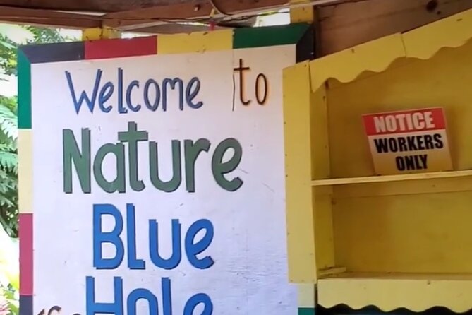Private Dunns River Falls and Blue Hole from Montego Bay Tour - The human side of the experience