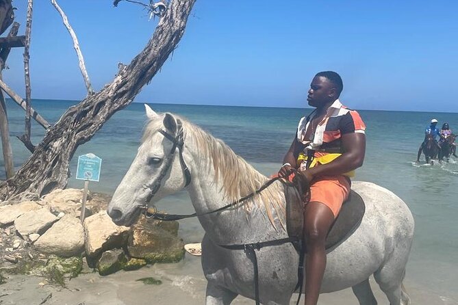 Private Dunns River Falls and Horse Back Riding - Key Points Before You Book