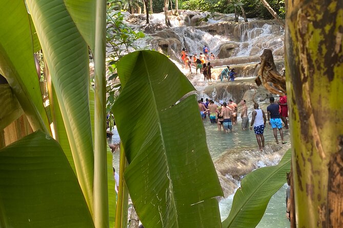 Private Dunns River Falls and Horse Back Riding - Why Private Transportation Helps