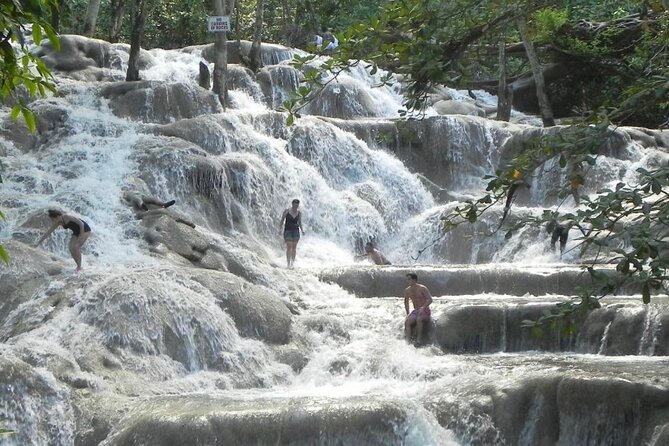 Private Dunns River Falls and Horse Back Riding - Who Will Like This Tour Most