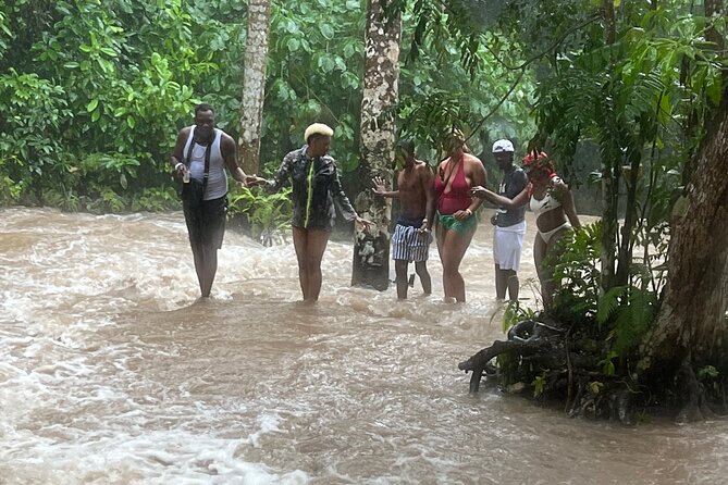 Private Dunns River Falls & Bluehole tour from Montego Bay - Why the private format helps families