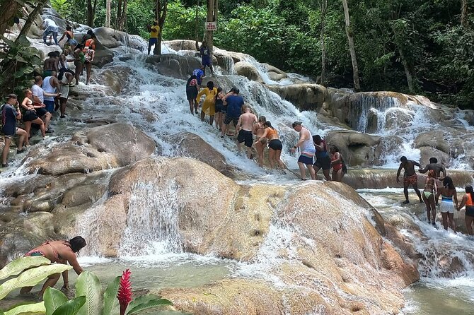 Private Full-Day Tour in Ocho Rios from Montego Bay - How the day feels for families and couples