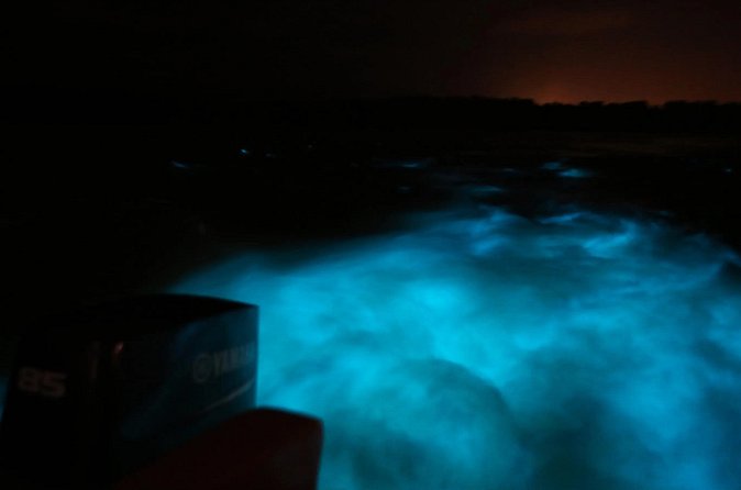 Private Guided Night Tour of Luminous Lagoon in Montego Bay - What happens during the 45-minute boat ride