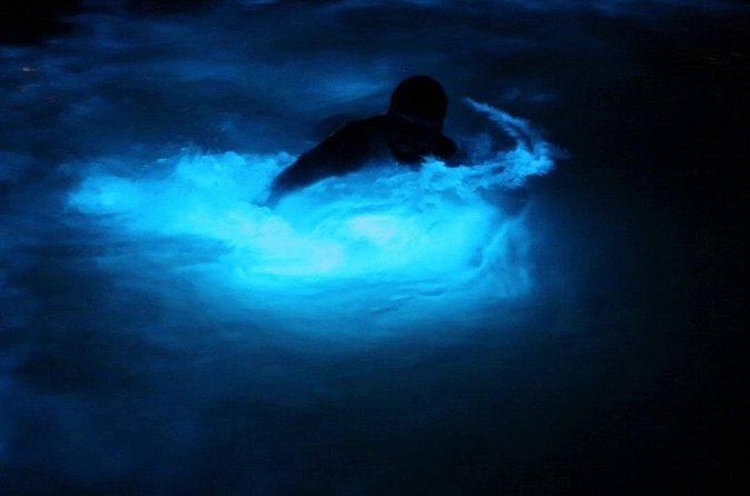 Private Guided Night Tour of Luminous Lagoon in Montego Bay - Practical advice for a smoother evening