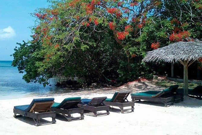 Private Half Moon Beach Tour from Montego Bay - Leaving Montego Bay for a quieter shore