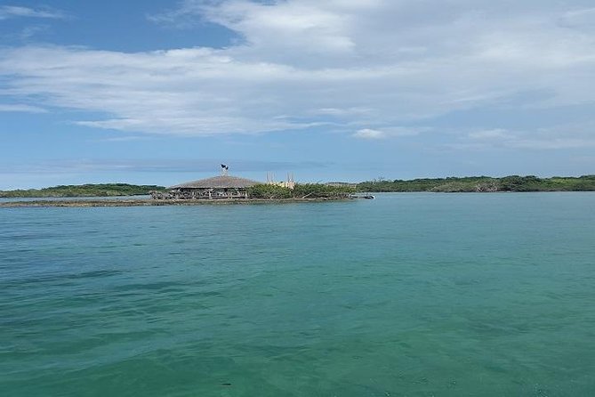 Private Half Moon Beach Tour from Montego Bay - Who will enjoy this four-hour outing