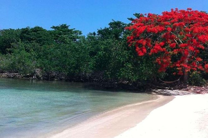 Private Half Moon Beach Tour from Montego Bay - Half Moon Beach: two hours of simple beach time