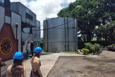Private Hampden Estate Rum Tour from Montego Bay or Falmouth