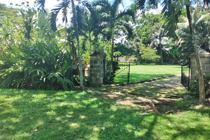 Private Hampden Estate Rum Tour from Montego Bay or Falmouth - A private group changes the feel