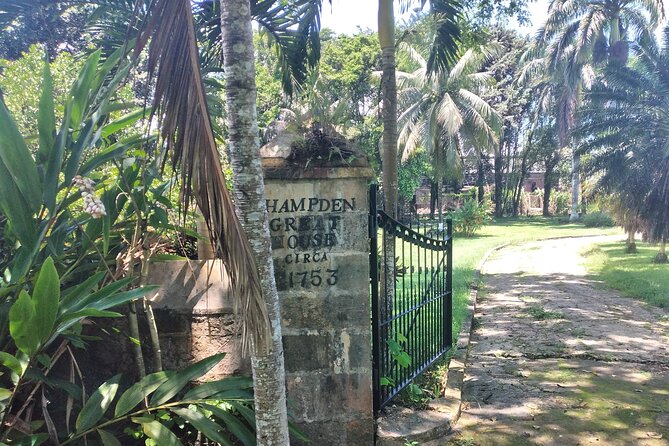 Private Hampden Estate Rum Tour from Montego Bay or Falmouth - Seafood lunch at Outtaroad Crabby