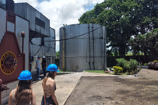 Private Hampden Estate Rum Tour from Montego Bay or Falmouth - Entering the Queen of Spain Valley