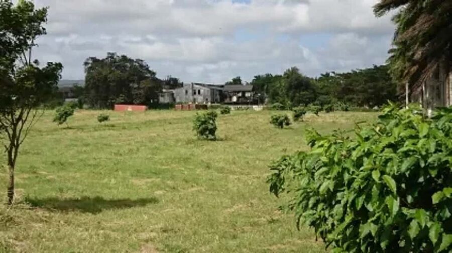 Private Hampden Estate Rum Trip from Montego Bay - From Montego Bay to the Queen of Spain valley