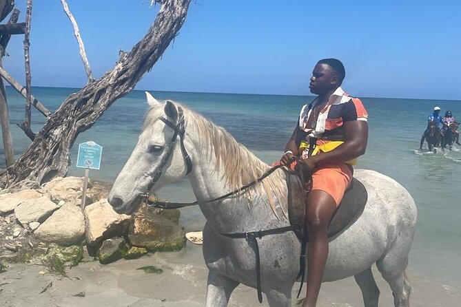 Private Horse Back Riding and Blue hole from Montegobay - Key points at a glance