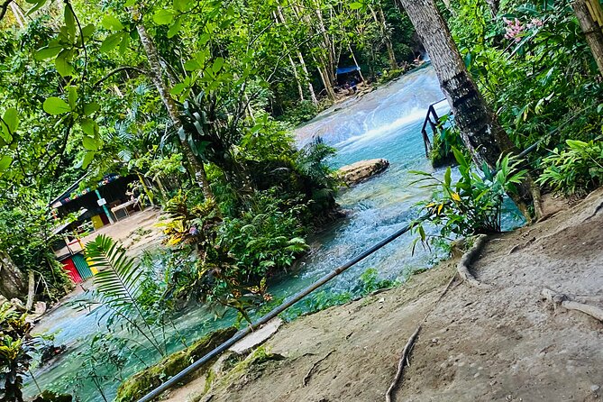 Private Horse Back Riding and Blue hole from Montegobay - Why this private combination works