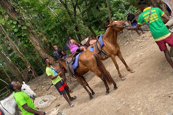 Private Horse Back Riding and Blue hole from Montegobay - Entering Blue Hole River with a life vest