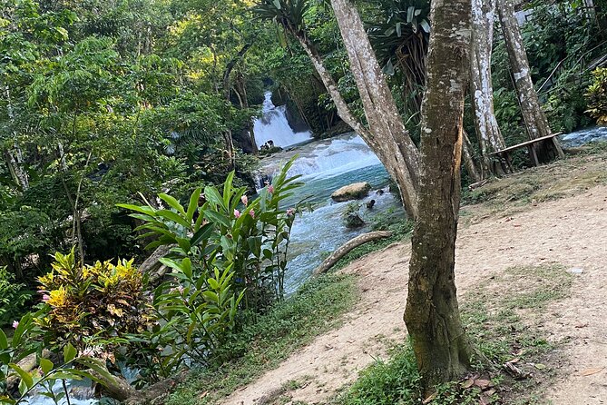 Private Horse Back Riding and Blue hole from Montegobay - The 10-foot cliff jump and waterfall time