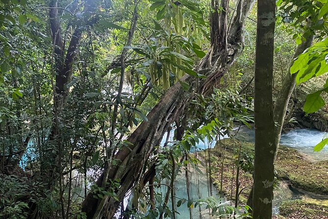 Private Horse Back Riding and Blue hole from Montegobay - What $130 means in value