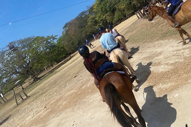 Private Horseback Riding with Blue Hole River Tour in Montego Bay - Why This Pairing Works in Montego Bay