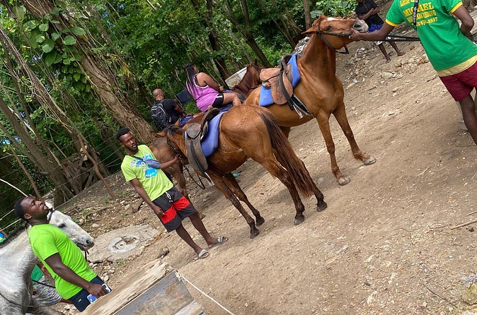 Private Horseback Riding with Blue Hole River Tour in Montego Bay - One Hour at Blue Hole