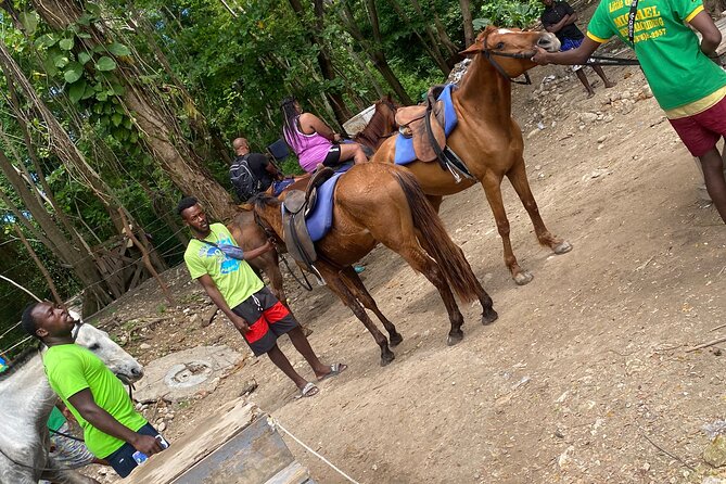 Private Horseback Riding with Blue Hole River Tour in Montego Bay - Timing, Pickup, and Cancellation Tips