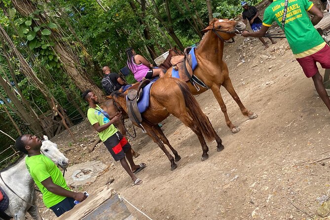 Private Horseback Riding with Blue Hole River Tour in Montego Bay - Forty-Five Minutes on Horseback at Discover Bay