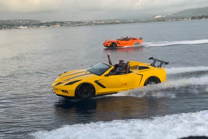 Private Jet Car or Jet Ski Experience in Montego Bay - Who will get the most from this activity