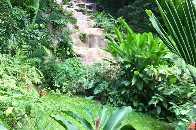 Private Konoko Falls and Blue Hole Combo Tour from Ocho Rios - Konoko Falls Park: gardens, animals, and Taino culture