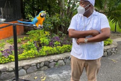 Private Konoko Falls and Blue Hole Combo Tour from Ocho Rios