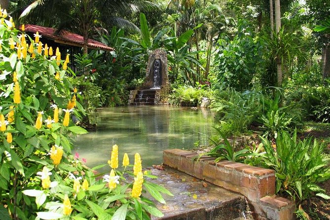 Private Konoko Falls and Blue Hole Combo Tour from Ocho Rios - Should you book the Blue Hole and Konoko combo?