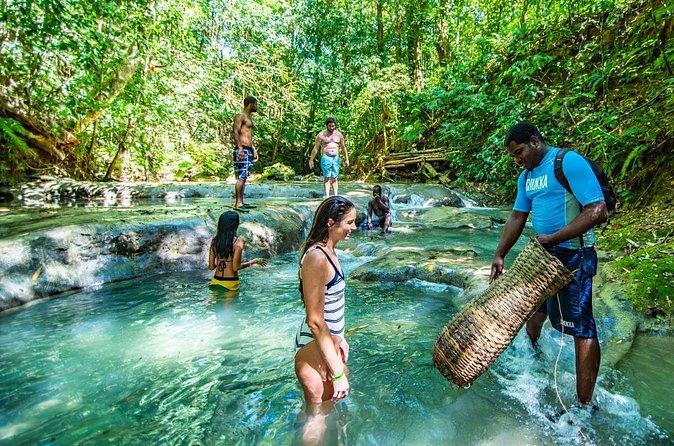 Private Mayfield Falls Waterfalls Tour [ Transportation ] - Arriving at Mayfield Falls and Mineral Springs