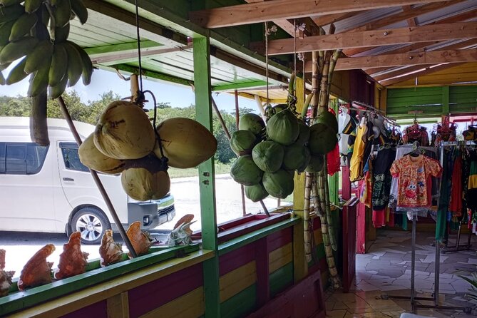 Private Montego Bay Highlights Day Tour - Why this short Montego Bay tour works