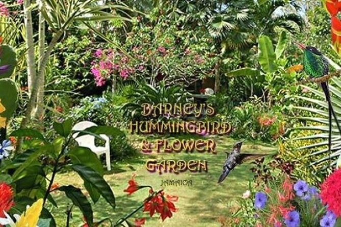 Private Negril Highlights Tour - Barney’s Botanical Garden and its hummingbirds
