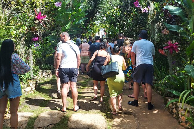 Private Nine Mile Tour from Montego Bay - The mausoleums and the musical finish