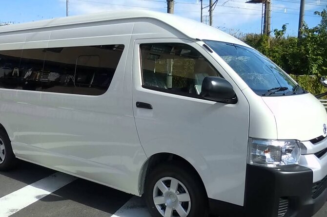 Private Ocean Coral Spring Airport Transfer - Leaving Sangster Airport without the usual hassle