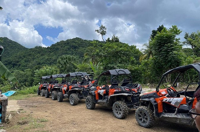 Private Rasta Safari Cultural UTV Village Experience - The vegan meal is more than a final extra