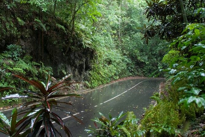 Private Sightseeing Tour in & Around Ocho Rios - Who Will Enjoy This Tour Most