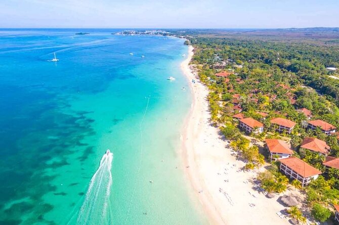 Private Tour From Ocho Rios or Runaway Bay To Negril 7 Miles Beach & Ricks Cafe - The Timing You Should Expect