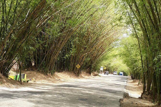 Private Tour in Dunns River Falls - Why Dunn’s River Falls is the main event