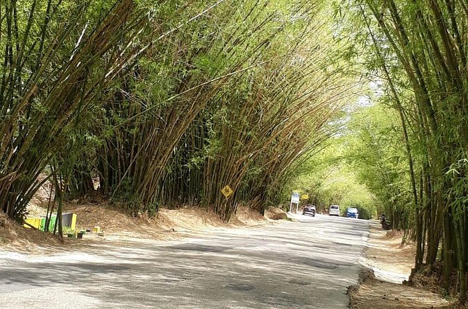Private Tour in Dunns River Falls - How to get the best value from the visit