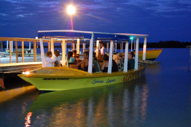 Private Tour in Marthe Brae and Luminous Lagoon with Rafting - Luminous Lagoon: Jamaica’s glowing final act