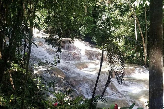 Private Tour Montego Bay To Blue Hole and Dunns River falls - The $180 price and one important fee question