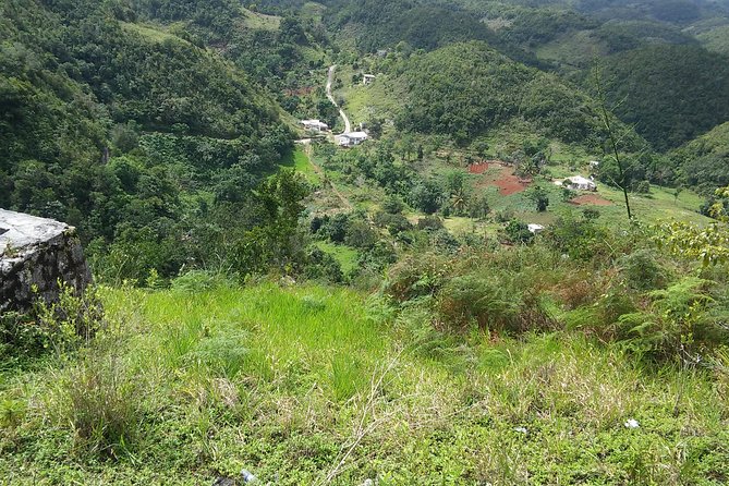 Private Tour Ocho Rios or Runaway Bay To 9 Mile Bob Marley Birth & Resting Place - The return drive and possible food stop