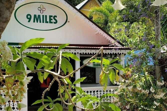 Private Tour of Bob Marley Nine Miles from Montego Bay - Why Nine Miles is worth the trip from Montego Bay