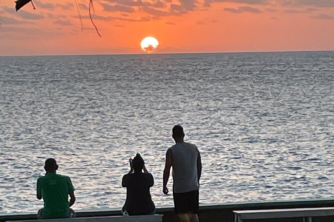 Private Transfer from Montego Bay Airport to Negril (Round Trip) - Who will appreciate this transfer most?